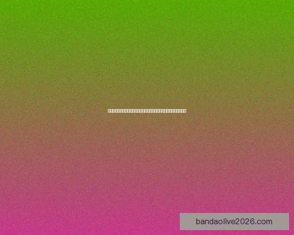 世界杯足球竞猜盘口与竞猜参与技巧助赢热门赛事稳健参与策略数据研判